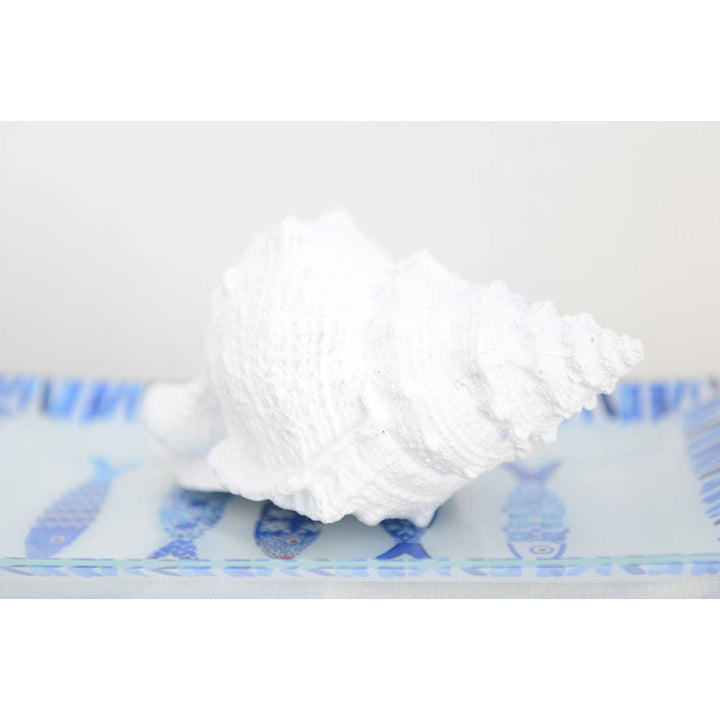 Concha decorativa blanca de poliresina 25x17x13 cm