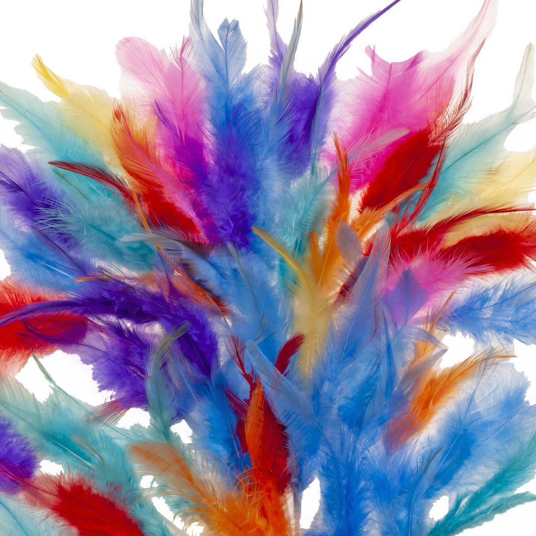 1 PLUMA 14CM