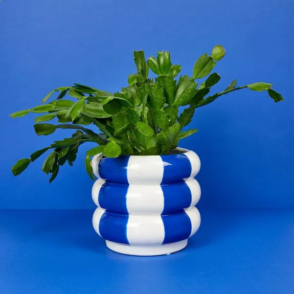 Maceta,Floats,azul,cerámica,14.5 cm