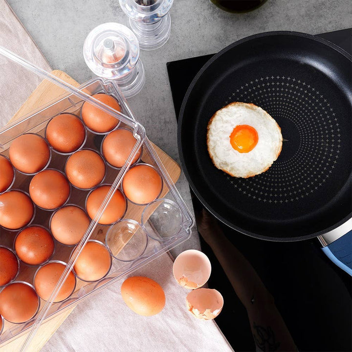 Portahuevos con tapa para 24 huevos 259634