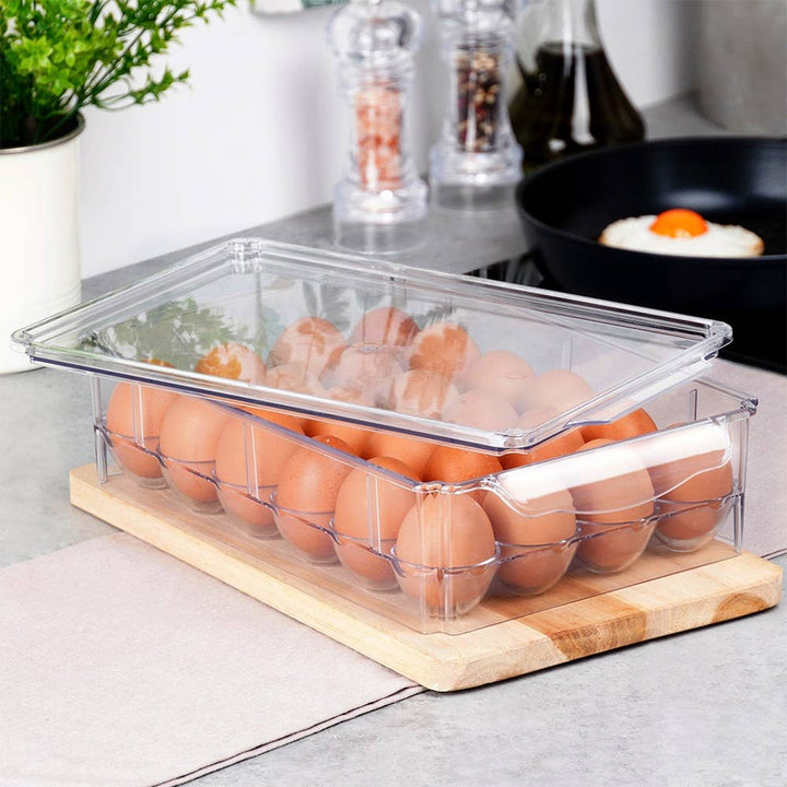 Portahuevos con tapa para 24 huevos 259634