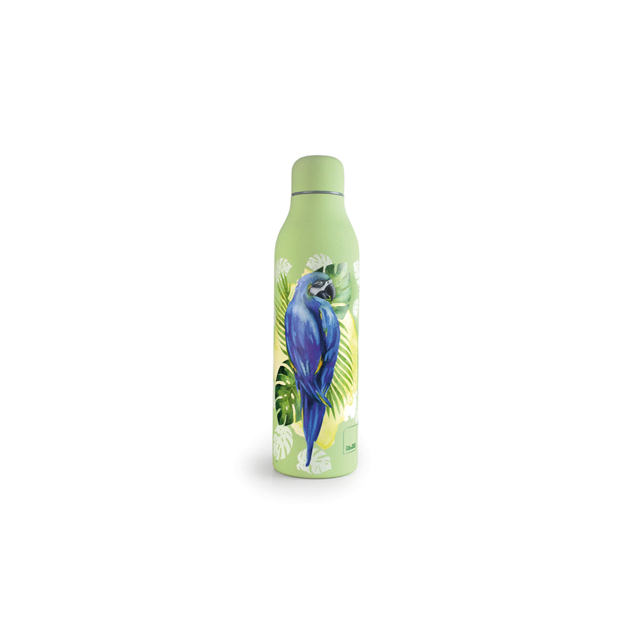 Botella Termo Doble Pared Smart Papagayo 500 ml