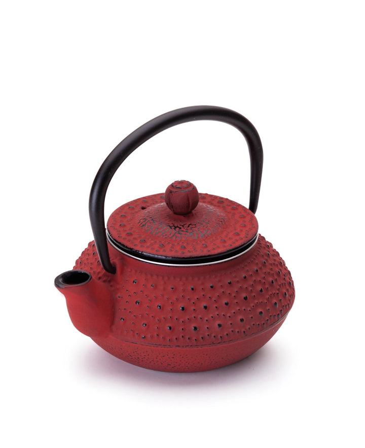 TETERA DE HIERRO FUNDIDO HANOI 0.30 LTS