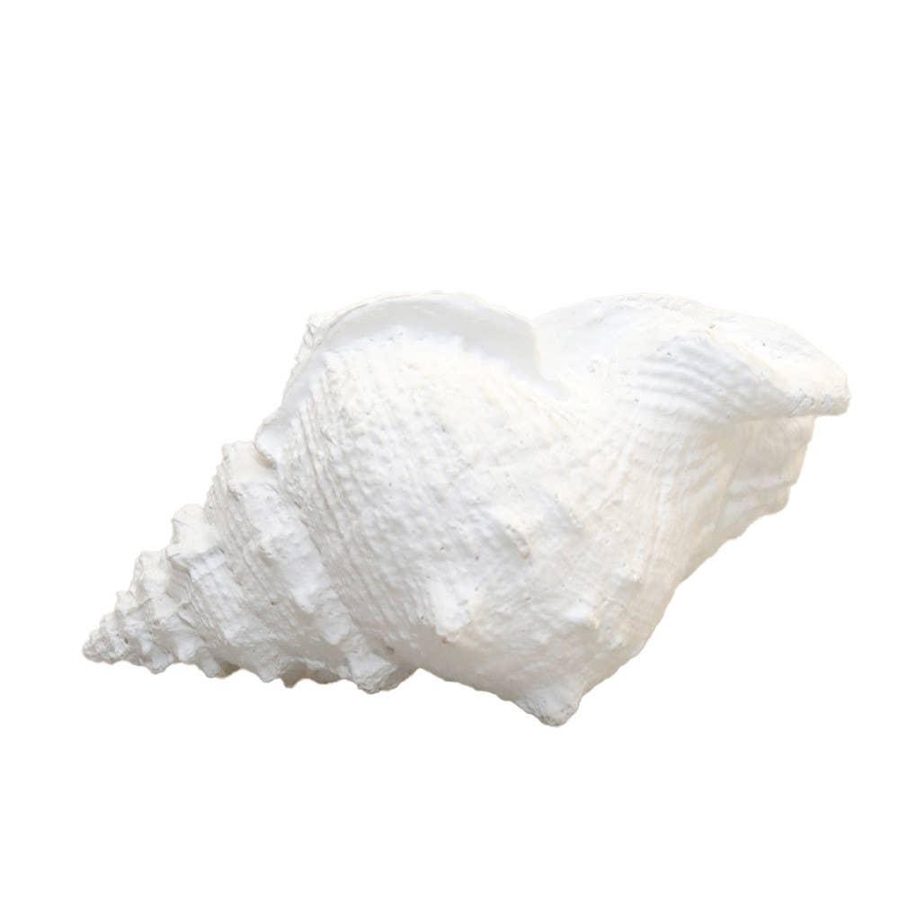 Concha decorativa blanca de poliresina 25x17x13 cm