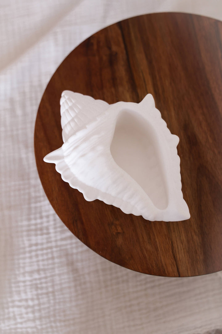 Concha grande decorativa