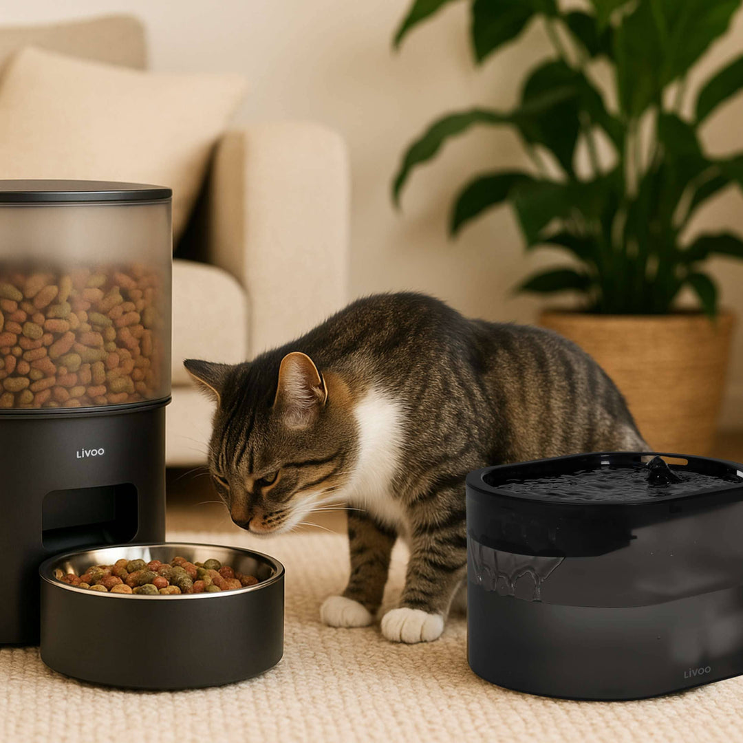 Fuente de agua para animales PET108